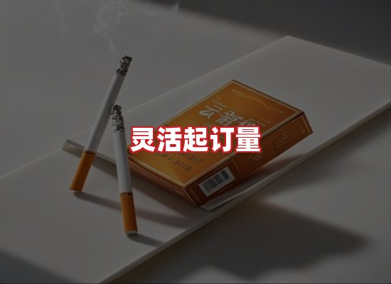 专业团队